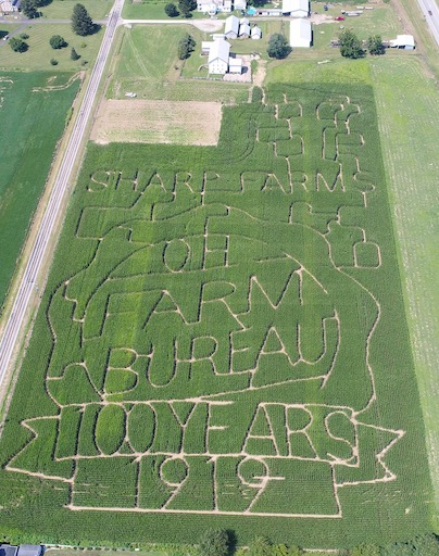 2019 Maze
