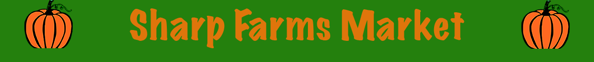 Company Banner