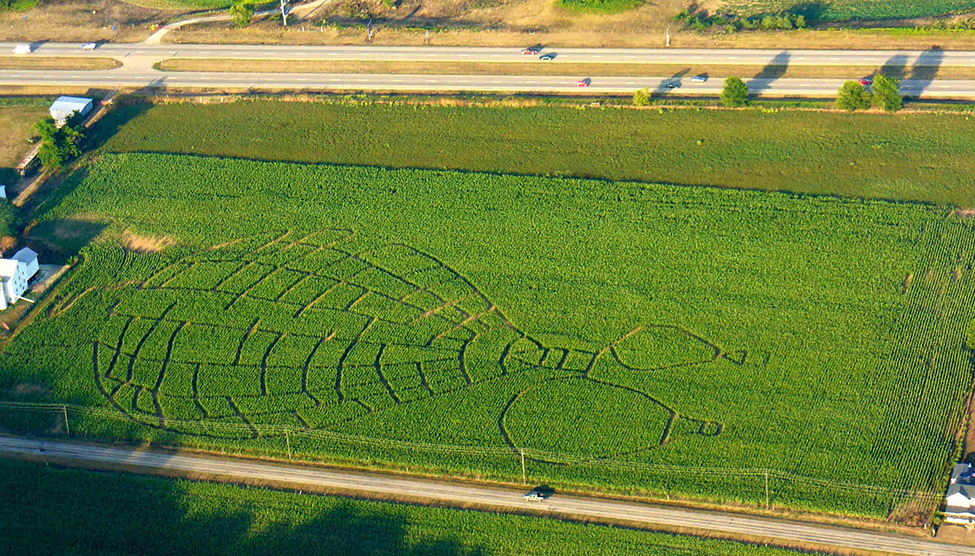 2012 Maze
