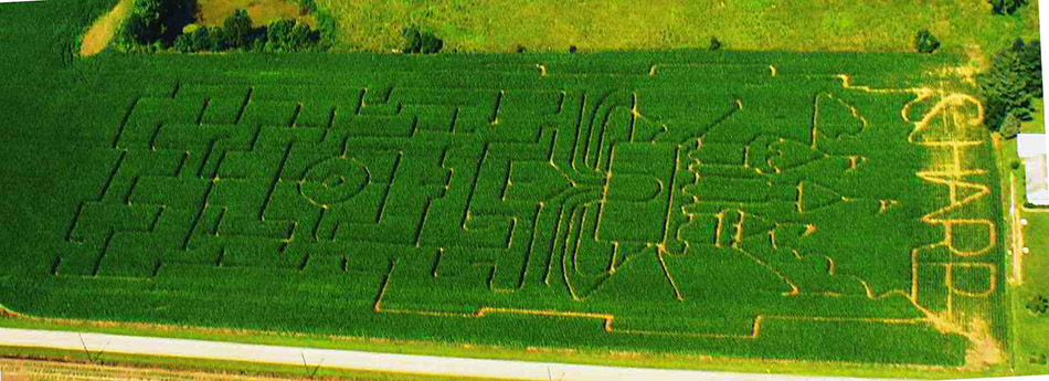 2011 Maze