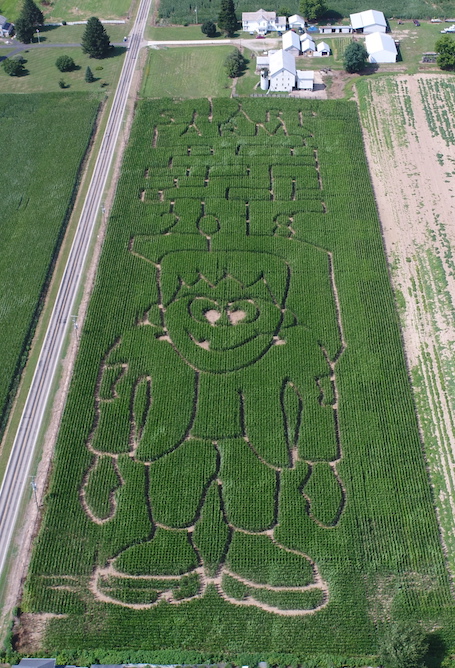 2018 Maze